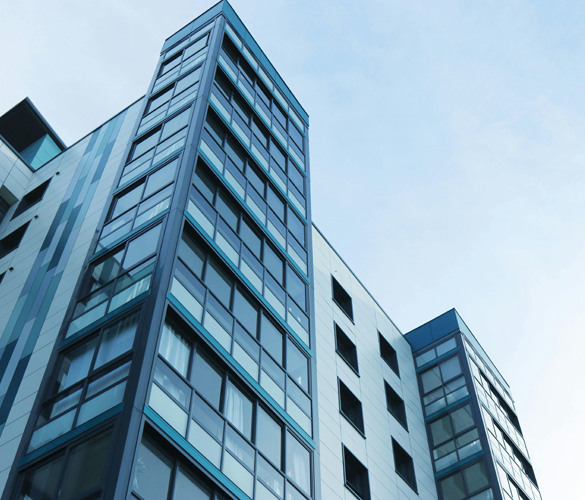 Paint-surface-coating-solution